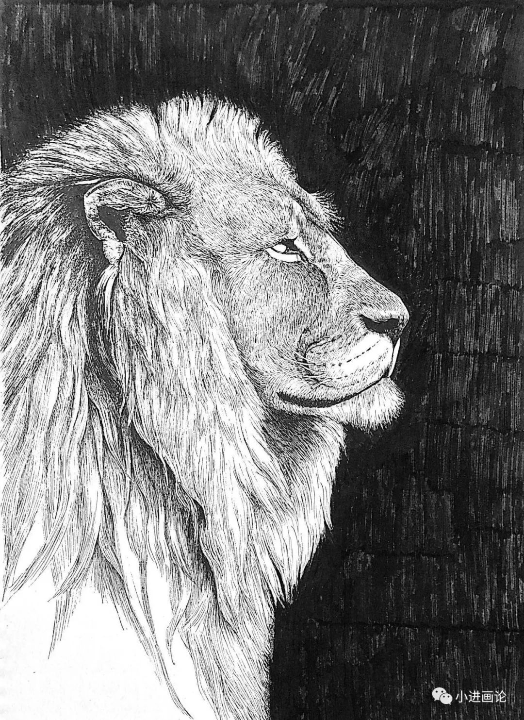 针管笔手绘画一头雄狮教你如何刻画动物毛发