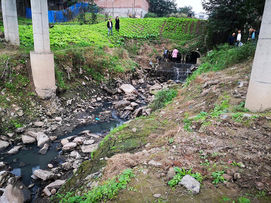 典型案例|四川省泸州市大量污水直排长江