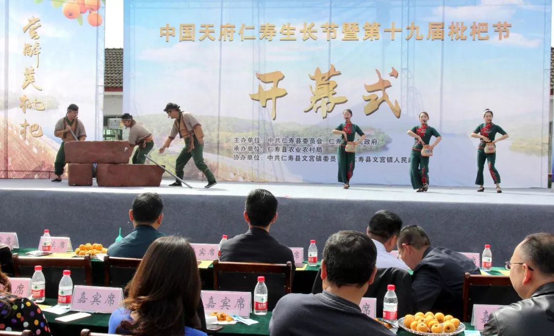 文宫枇杷节开幕啦枇杷现摘现吃