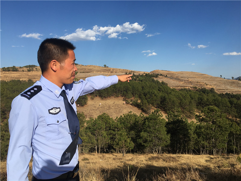 卢剑锋用四不倒精神托起山村小康的希望