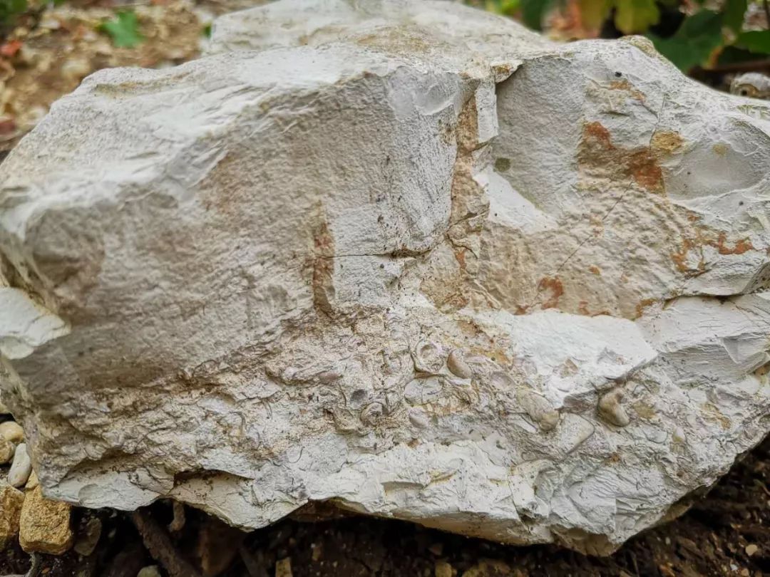 香槟质窃谇熳３『媳还惴貉≡,有香槟的时刻或浪漫