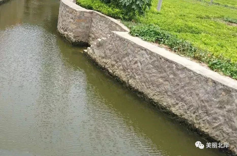 呵护山清水秀,着力打造"最美岸线"_河道
