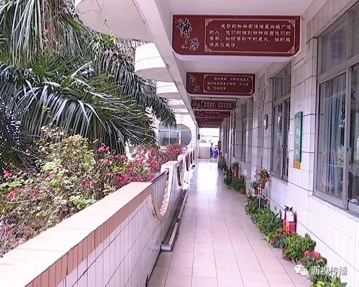 钟敏毓秀崇实风劲好扬帆大沥嘉福学校经典浸润心灵特色彰显校园