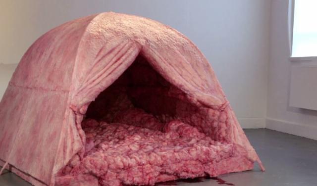 世界上最恶心的帐篷睡一晚能拿70000元至今无人挑战成功