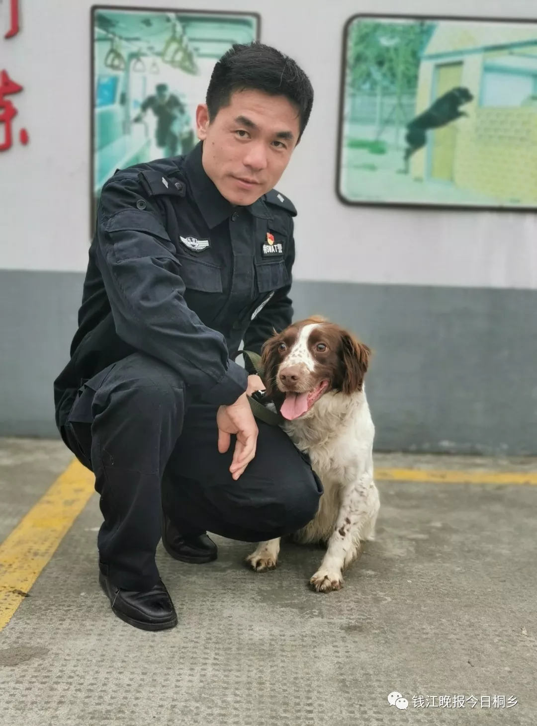 才三岁,就帮助警察破案啦!_警犬