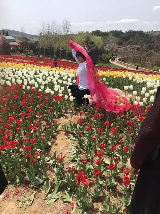 让游客自由"撒野"的花海,真的很难?