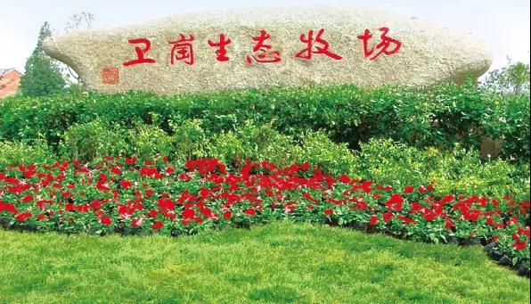 卫岗乳业自创立伊始就坚持"先建牧场,再做市场"的品牌理念,先后在苏皖