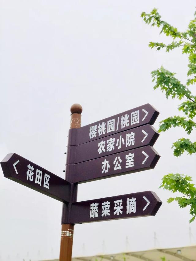 映称下远处蓝色的大风车而是大片的度假庄园浪漫的让人怀疑这不是农庄