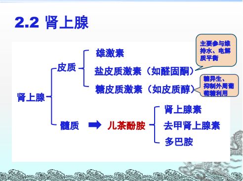 内分泌功能评估与麻醉管理
