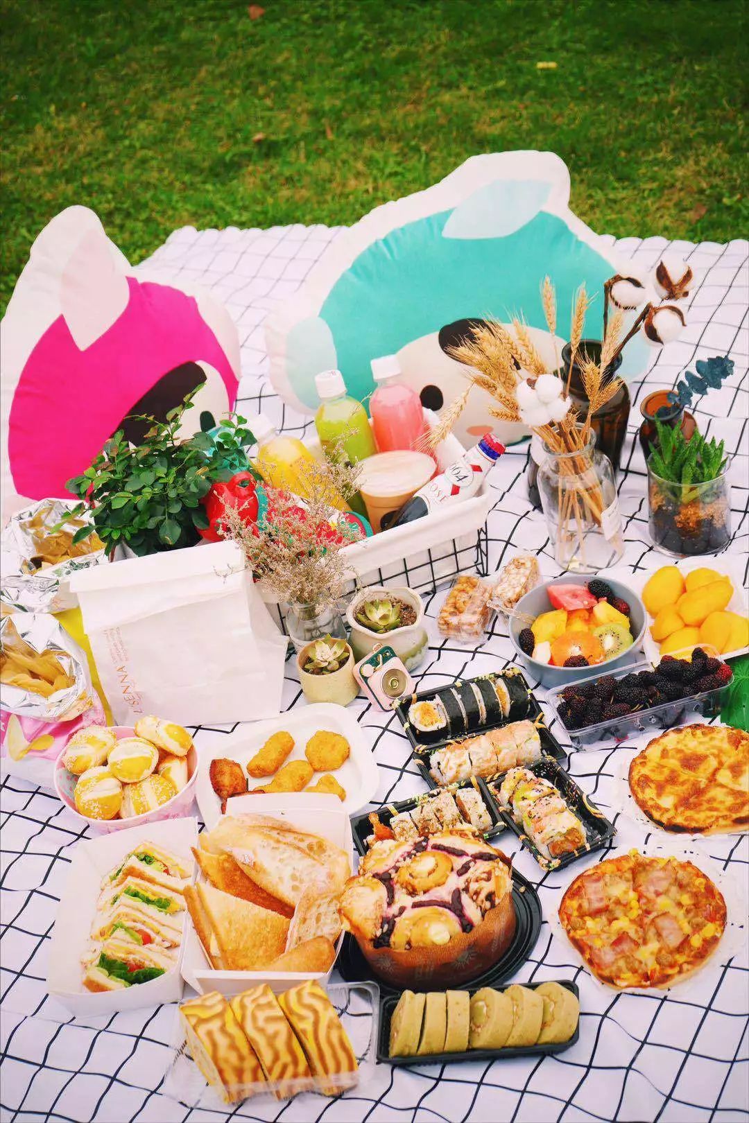 你与网红野餐之间就差这一篇推送了