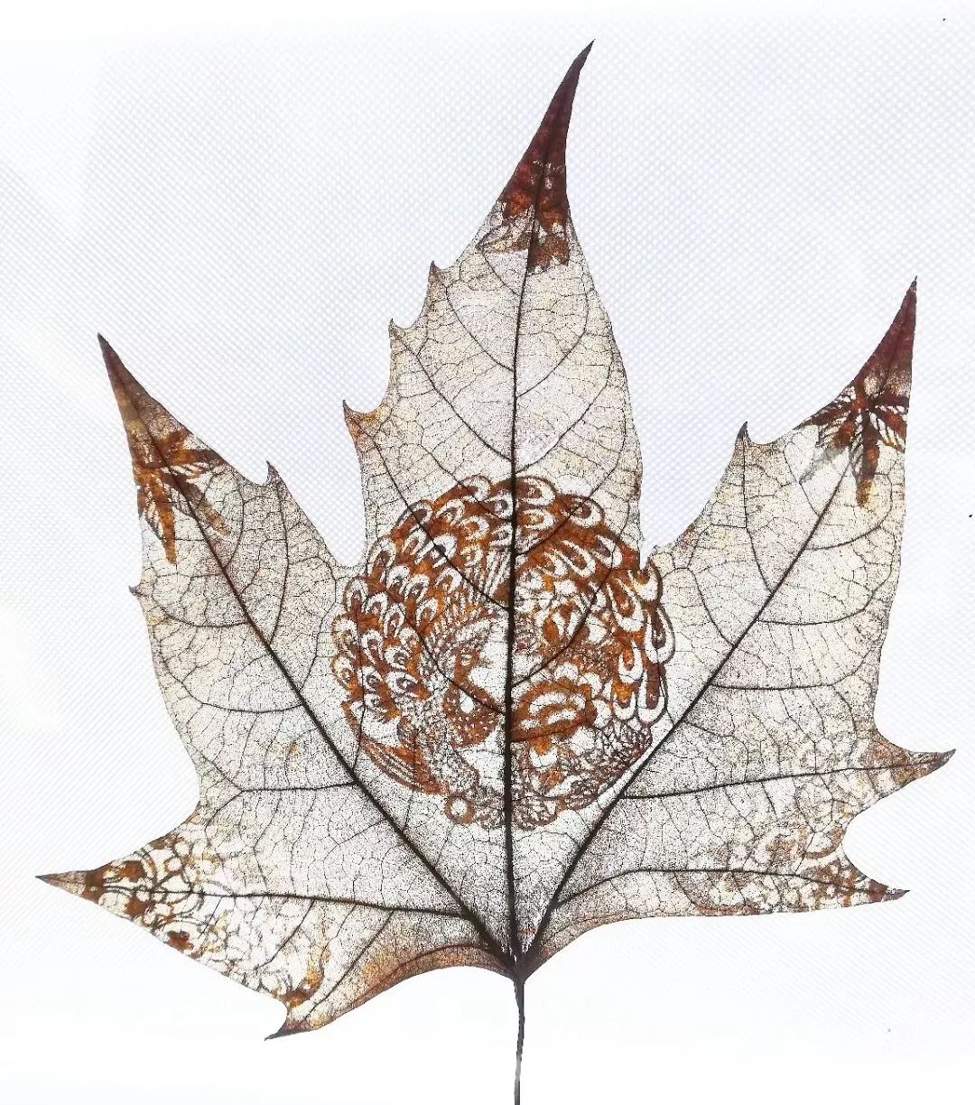 非遗大师当面教你学叶雕只有5个名额速抢