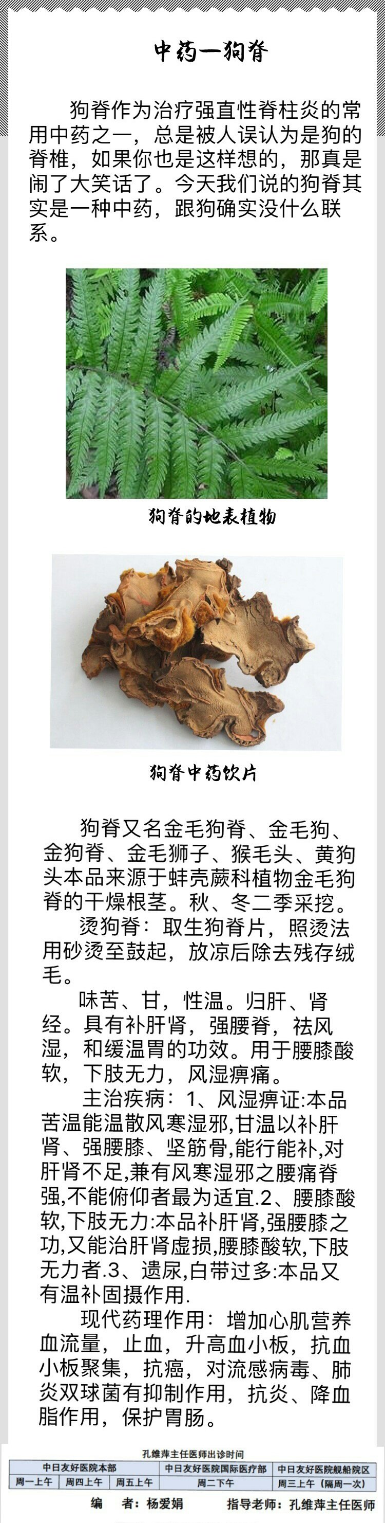 狗脊草的图片与功效图片