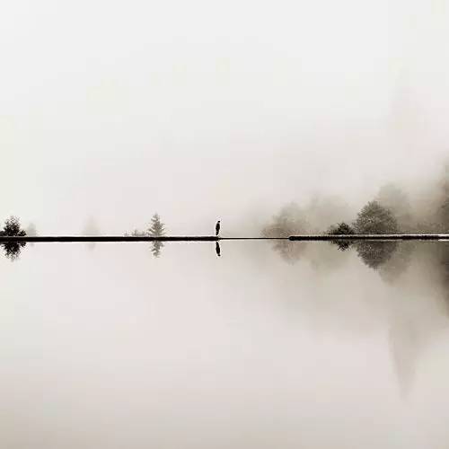 摄影中的留白,才是构图的最高境界!