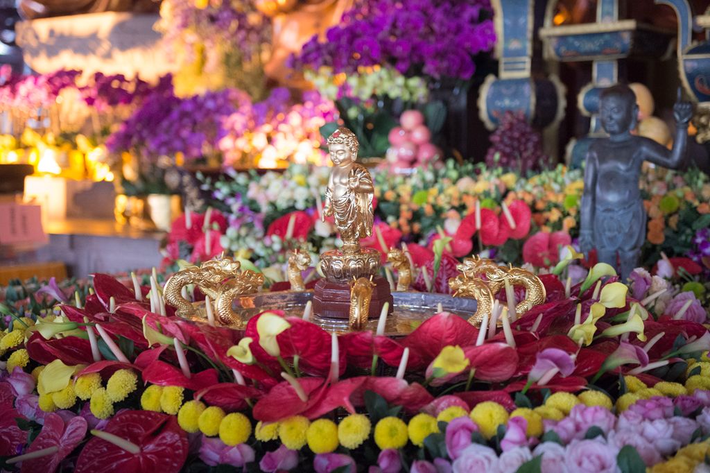 浴佛节鲜花图片大全图片