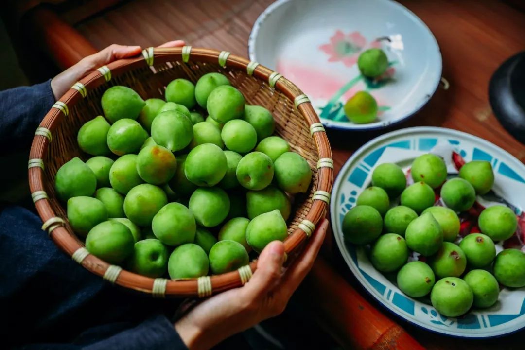 青梅在武汉夏天的n种死法_梅子