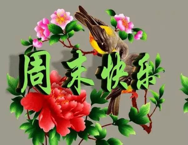 周末愉快祝福语阳光句子 朋友圈周末问候语动态图片