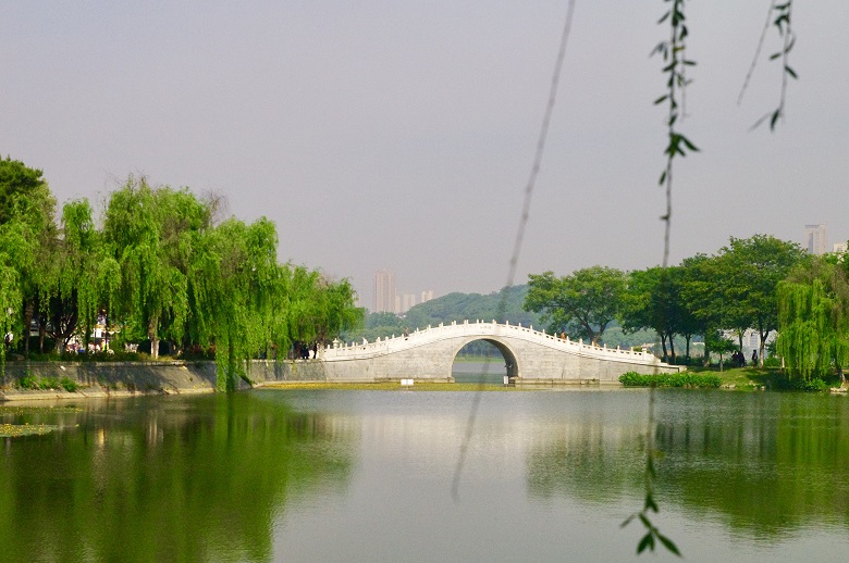 在月湖公园里,隐逸着武汉的初夏味道!