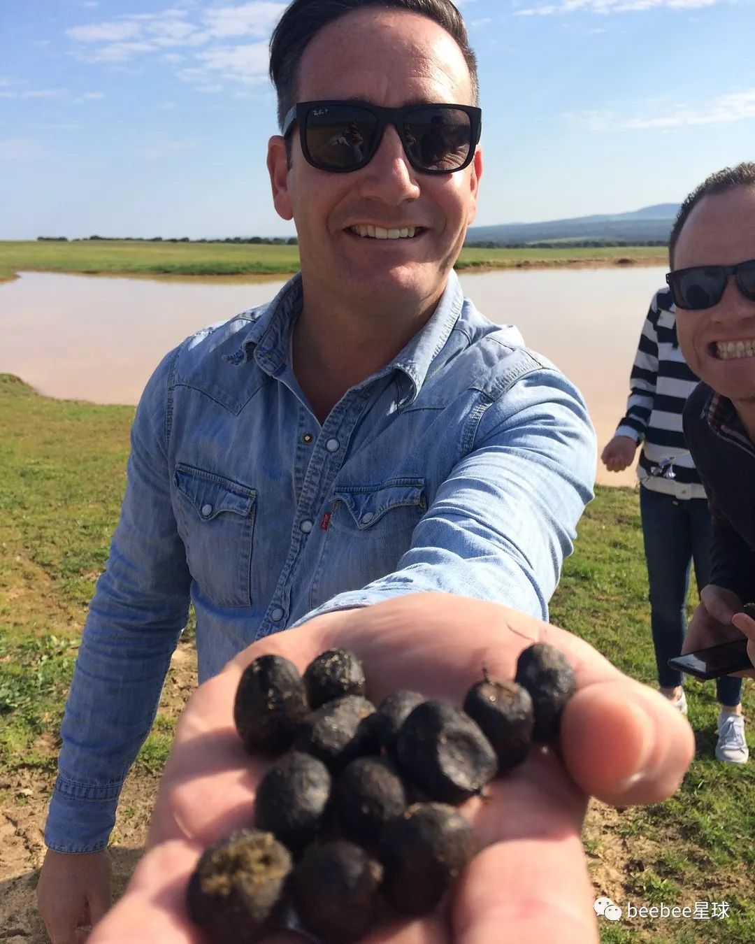 吞得多了,就对羊粪蛋有了更充分的了解.