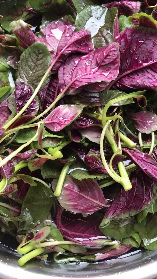 这菜是"天然补血王",2块一把,隔三差五吃女人气色好,还美容