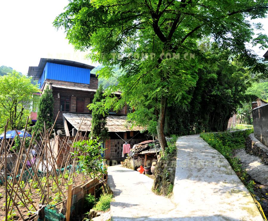 原创中梁山共和村,西山村,新政村,华岩二社全面打响"村庄清洁行动"