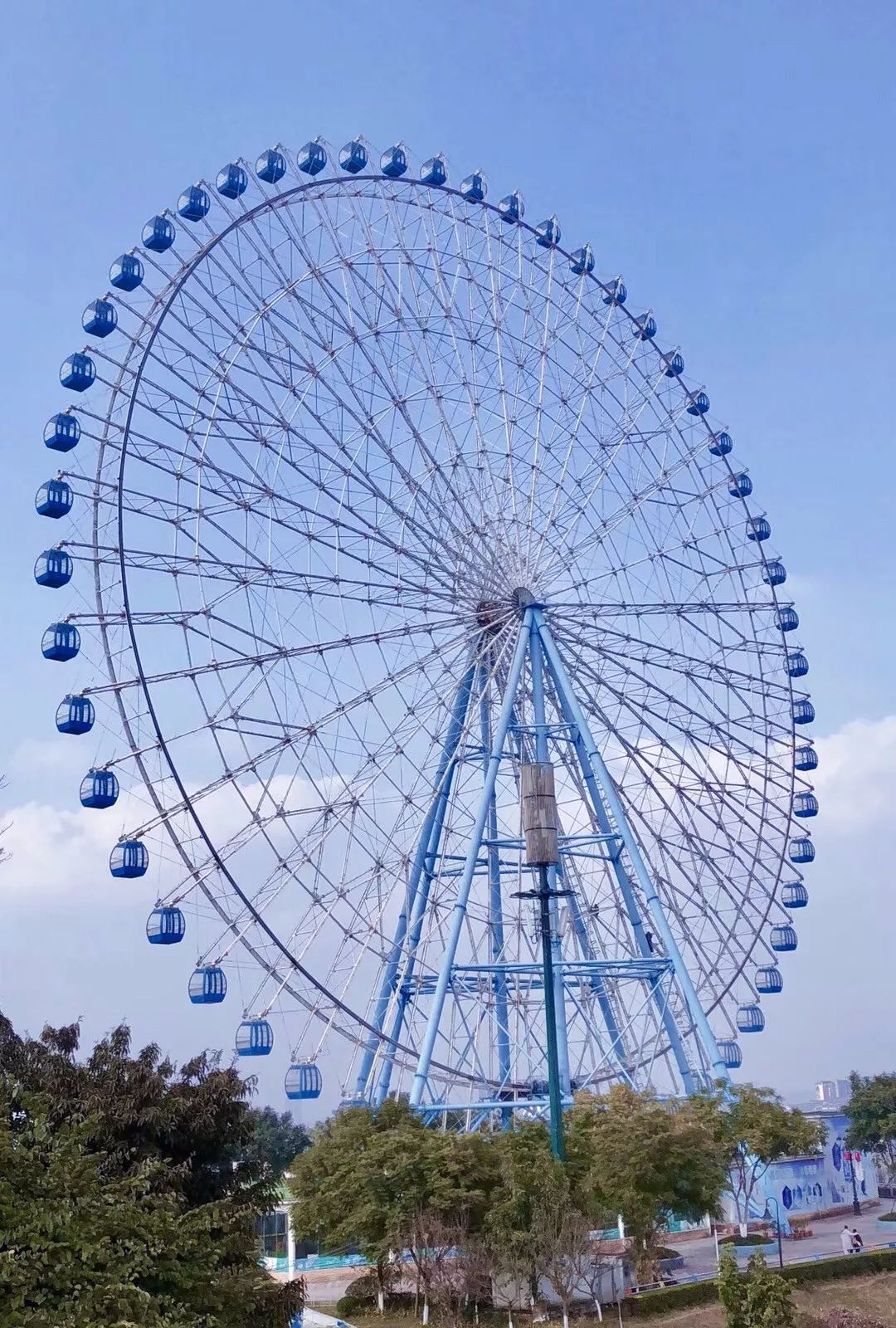 泸州这个老板为爱大"放价"!快和妈妈一起约"惠"!