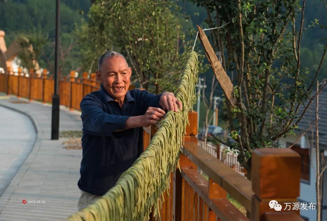 《阳光雨露《专注《那边是我家《时光缩影《多彩长田《默》