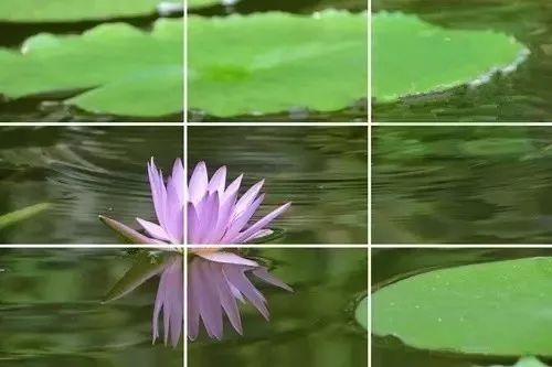 分享手机摄影第一步九宫格构图法