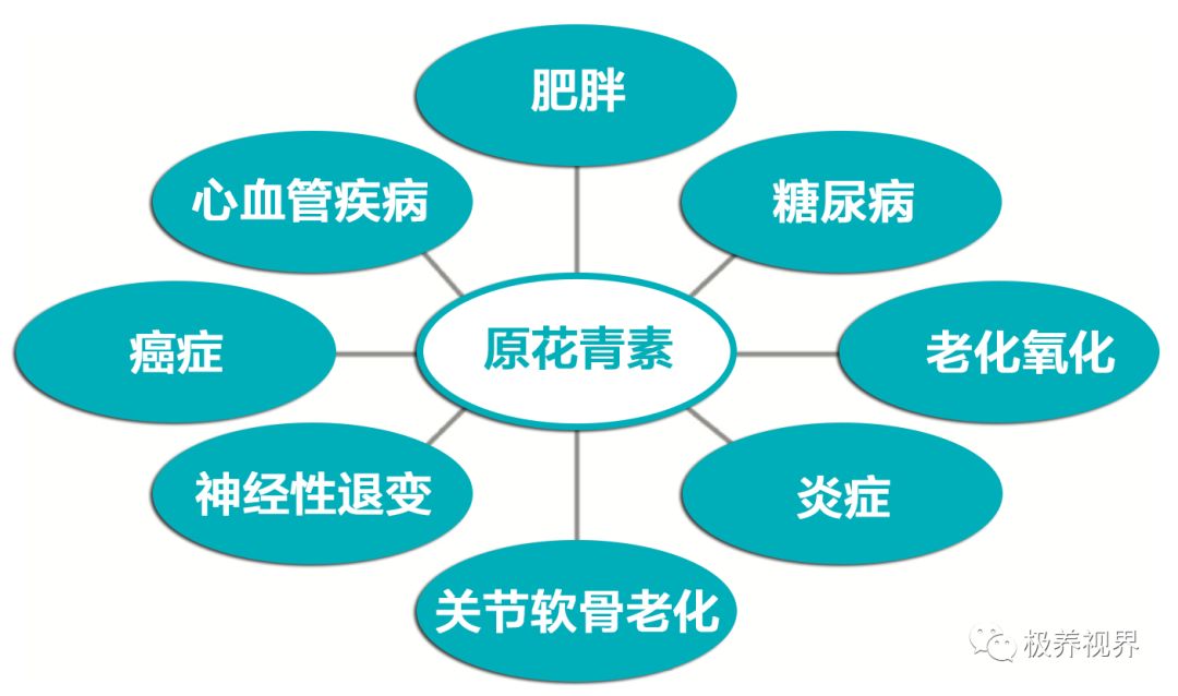 花青素功效与作用营养图片