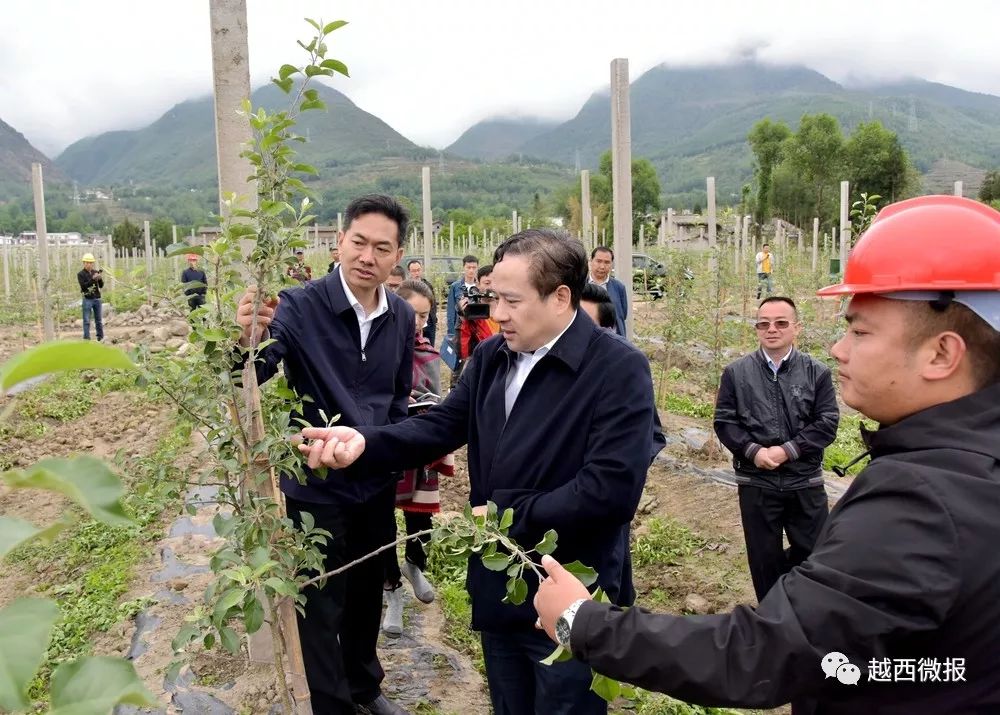 【要闻】向贵瑜到越西调研产业发展工作