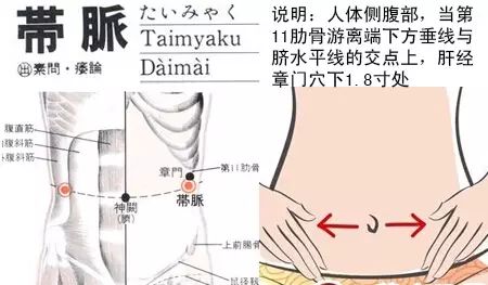 带脉刮痧,清肠减腹!