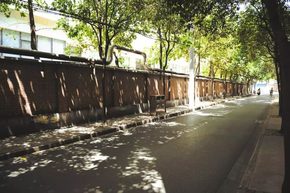 当代大家苏童夏天的一条街道