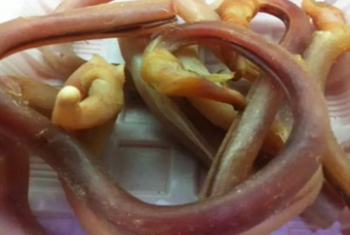 2,将清洗干净的熟驴鞭切成小块,备用.