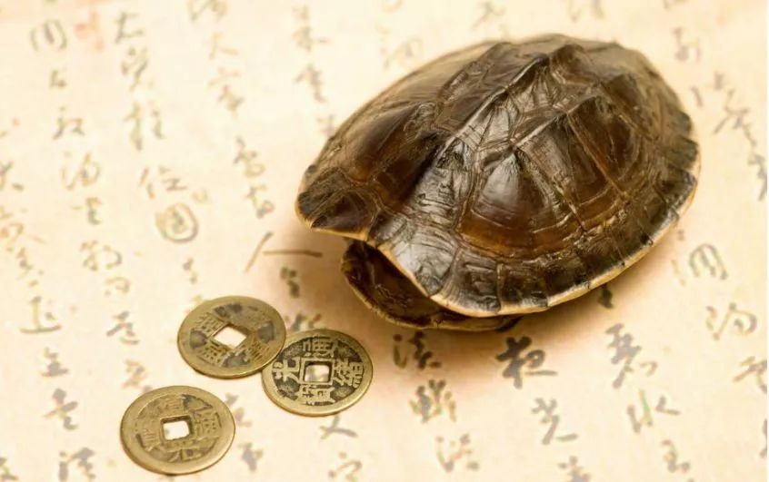 趣读丨中国古代养宠物极简史