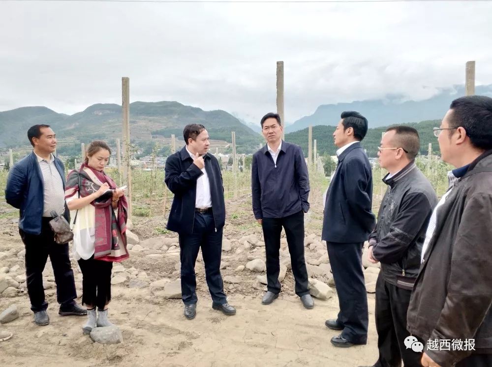 【要闻】向贵瑜到越西调研产业发展工作