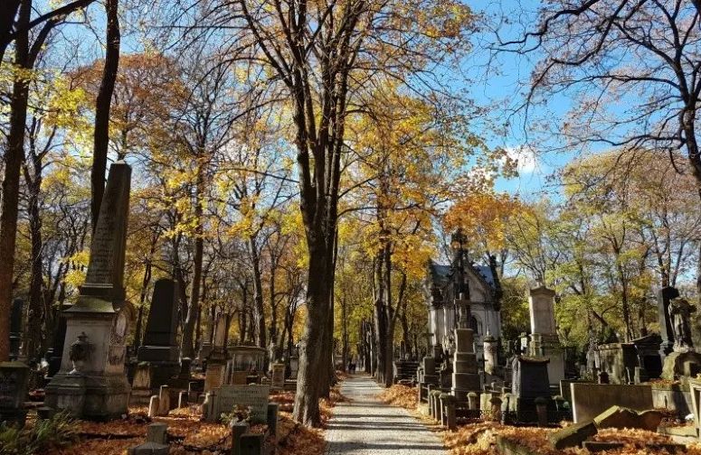 在欧洲,墓园也可以是景点,既是拜访也是缅怀