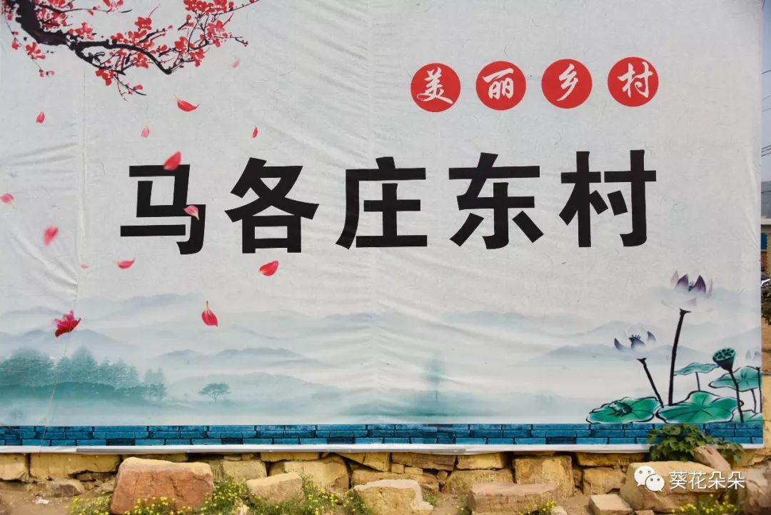 美丽乡村摄影:扈瑞艳摄影:扈瑞艳在马各庄东村的香菇大棚和蓝莓