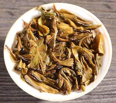 5个方法,辨别乔木古树茶和台地茶