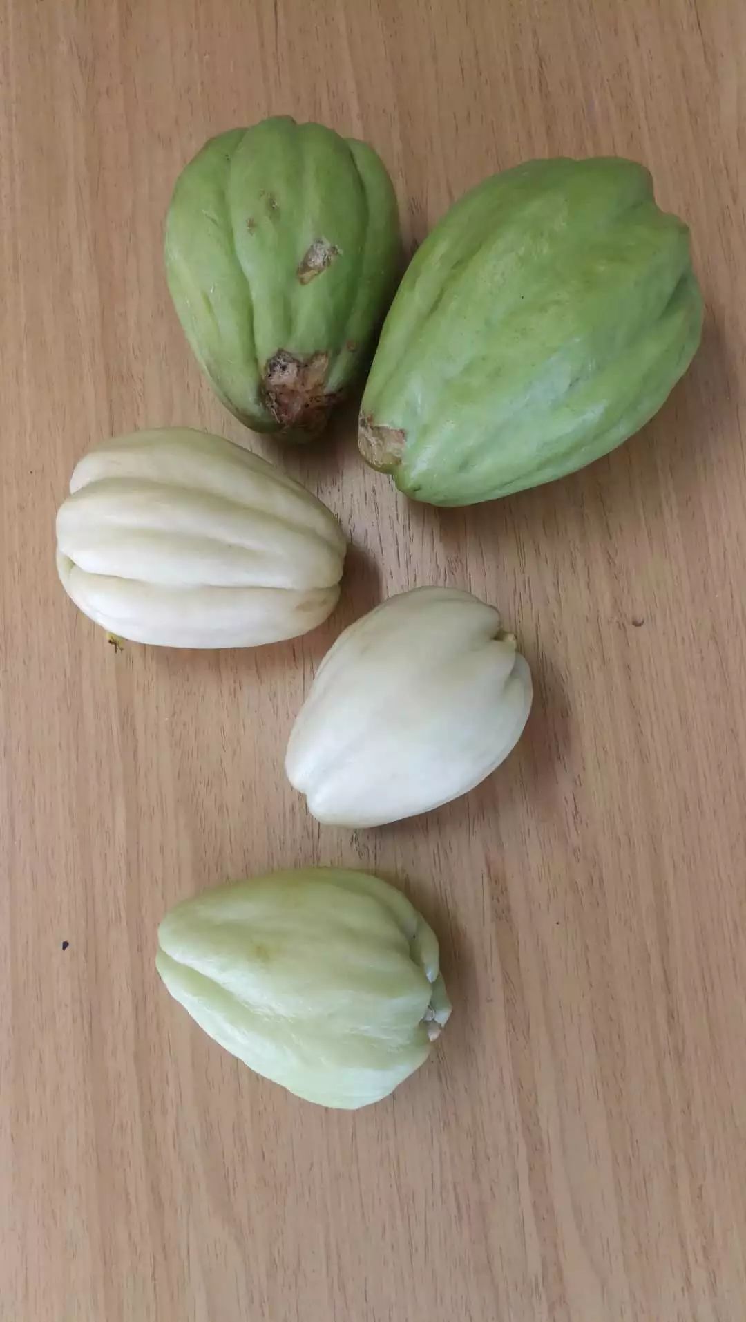 网友爆料:家人接连脱发,种的瓜发生变异,原来都是辐射惹的祸!