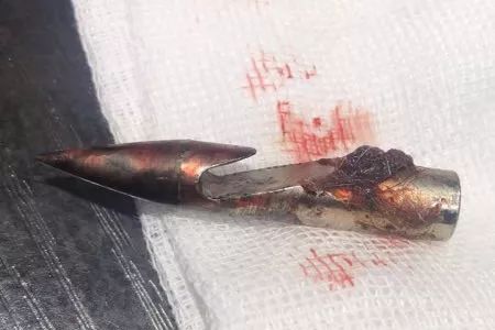 上海射猫男子被依法拘留,律师表示之后可能会判刑