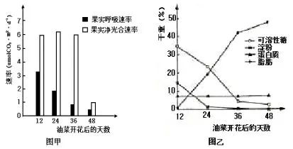 (1)油菜果皮細胞內通過光合作用固定co2的細胞器是.