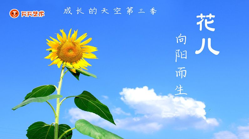 向阳而生》年度大电影《凤尾兰》以及第二季《王者荣耀》《逆风飞翔的