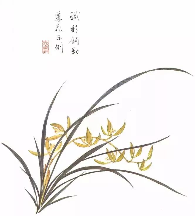 图文教程:兰花的各种画法详解(下)_花瓣
