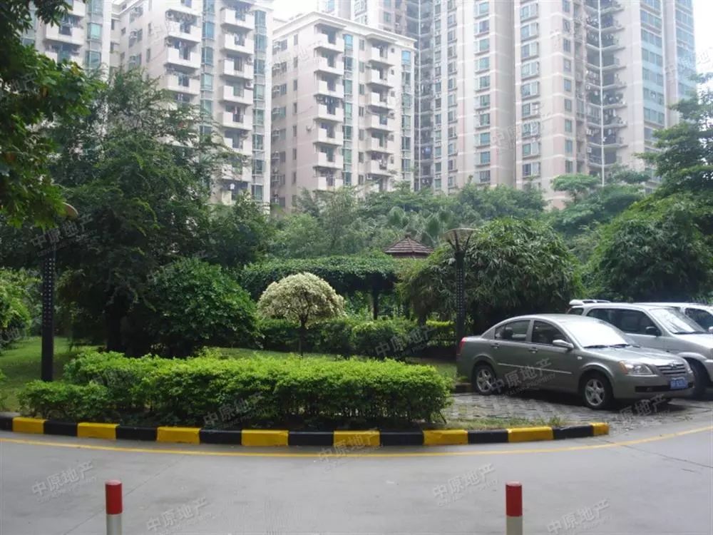 珠岛花园与内环路及繁华的中山八路紧密相连,小区绿化面积大,医院