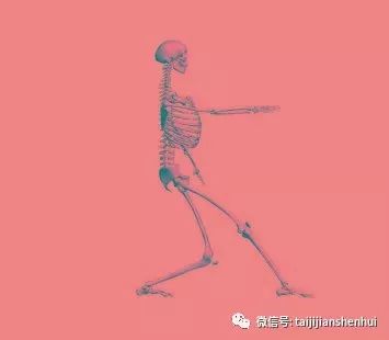 太极拳练习中如何保持尾闾中正