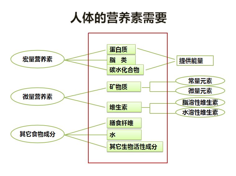 肥胖是能量过剩也是一种营养不良