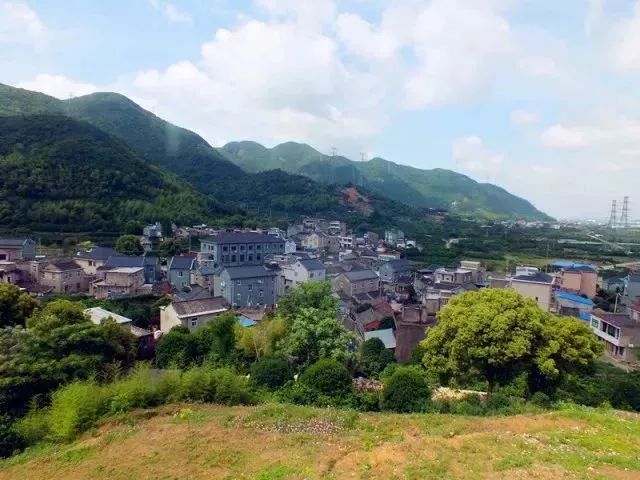 一起来品尝特色农家菜 体验手工捣乌饭麻糍 更有"乌饭"系列美食