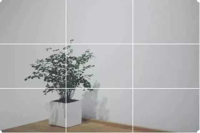 分享手机摄影第一步九宫格构图法