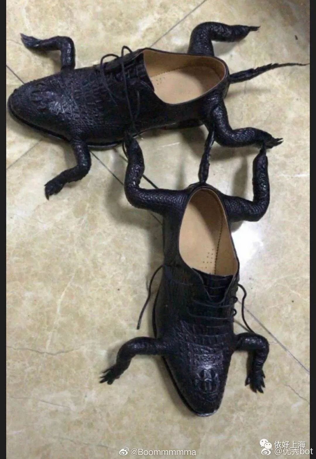哈哈这样的鞋子也有人买最丑鞋子大赛开始还好我买不起
