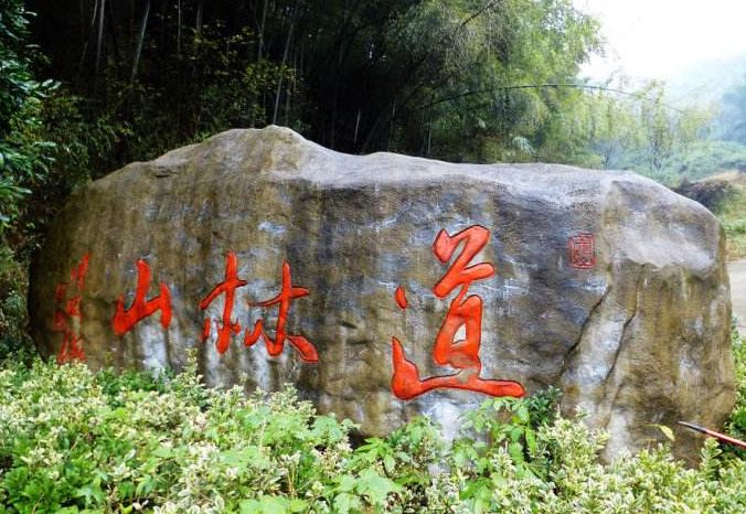 福利来了# 5月19日中国旅游日,走进美丽乡村河上