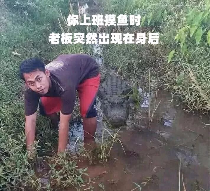 【每日一笑】中午去排队买小吃,突然有人拍我肩膀我一下,扭头一看.